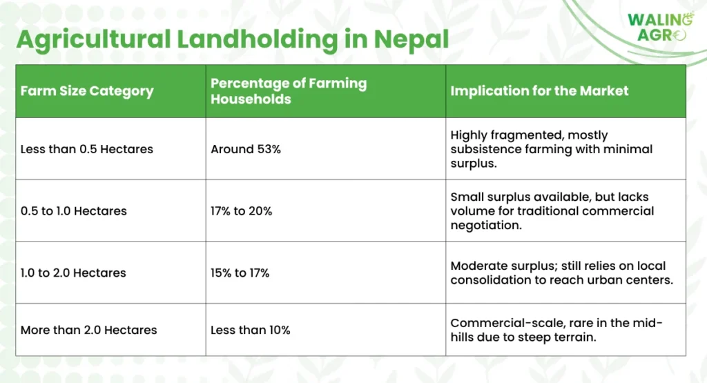 Agricultural Landholding in Nepal