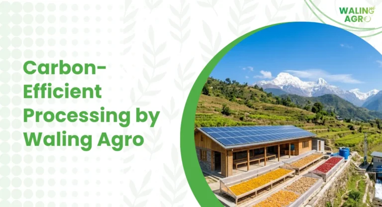Carbon-Efficient Processing by Waling Agro