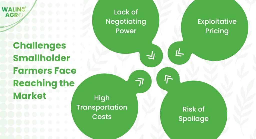 Challenges Smallholder Farmers Face Reaching the Market