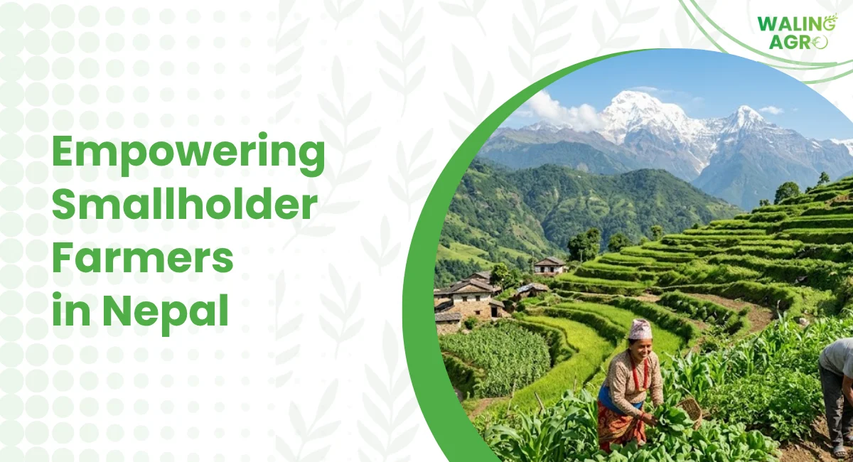 Empowering Smallholder Farmers in Nepal