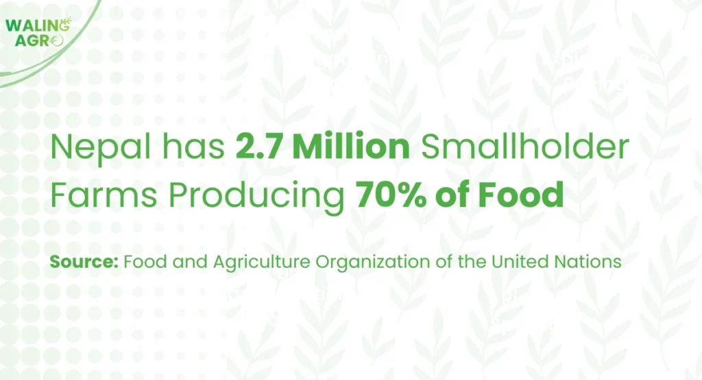 nepal has 2 million smallholder farns