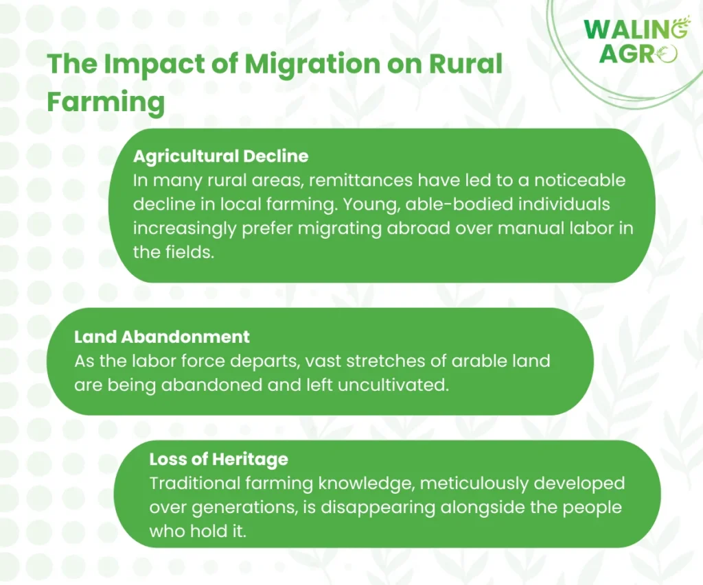 impact of migration on farming