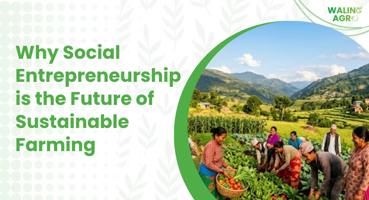 Why Social Entrepreneurship is the Future of Sustainable Farming