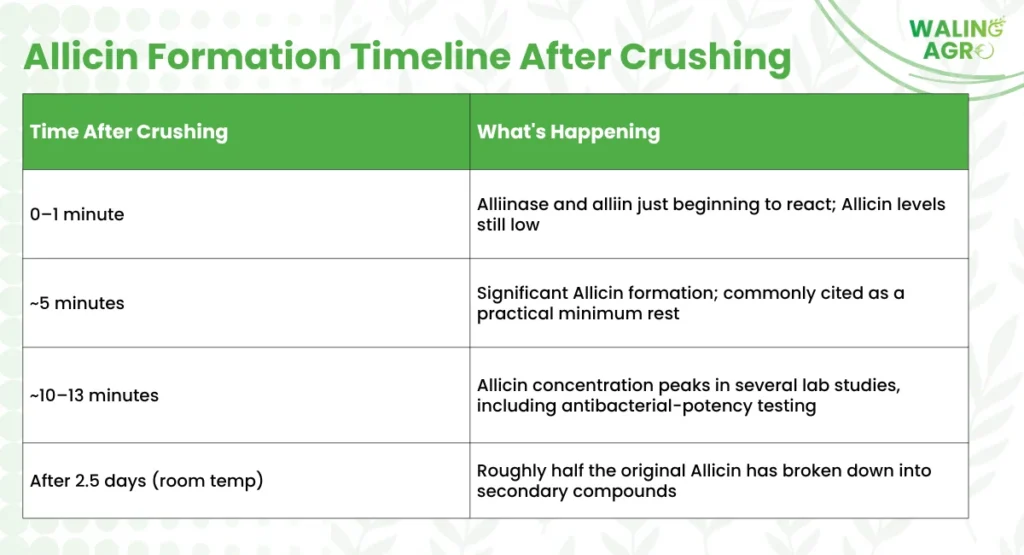 alliicin formation timeline