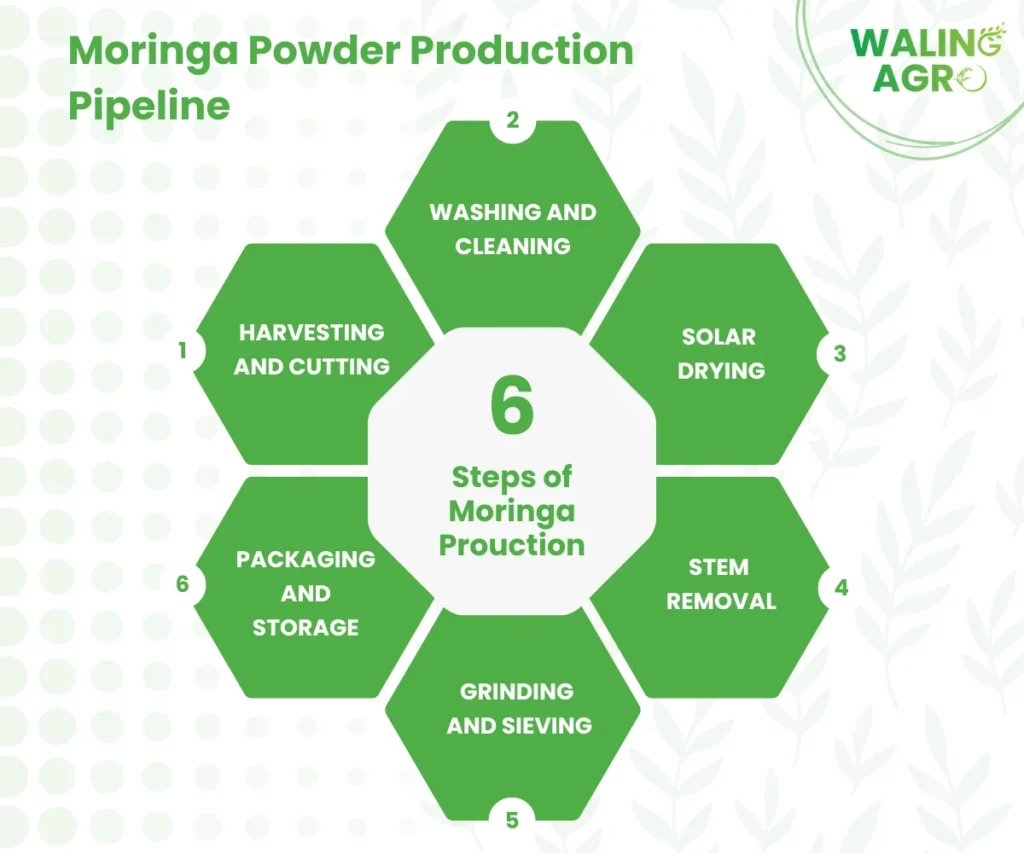 moringa powder production